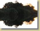 botswana-0011