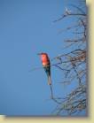 botswana-0017