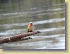botswana-0018