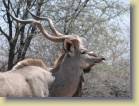 botswana-0033