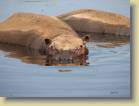 botswana-0034
