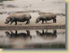 botswana-0035