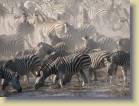 botswana-0039