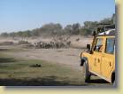 botswana-0040