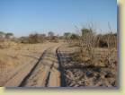 botswana-0042