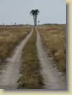 botswana-0046