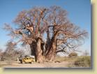 botswana-0049