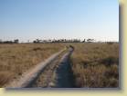 botswana-0050