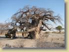 botswana-0057