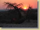 botswana-0061