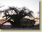 botswana-0062