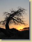 botswana-0065