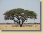 botswana-0072
