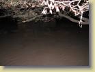 botswana-0075