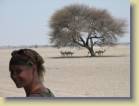 botswana-0080
