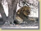 botswana-0081