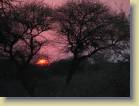 botswana-0082