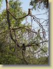 botswana-0096