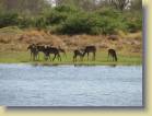 botswana-0098