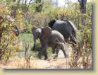 botswana-0102