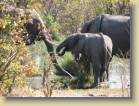 botswana-0103