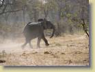 botswana-0105