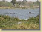 botswana-0106