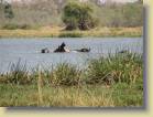 botswana-0107