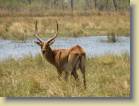 botswana-0109