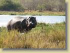 botswana-0119
