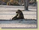 botswana-0124