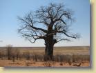 botswana-0131