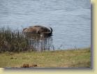 botswana-0133