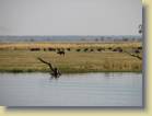 botswana-0139