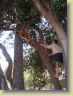 botswana-0143