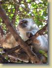 botswana-0145