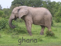 ghana