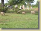 ghana-0017