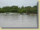 ghana-0019