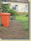 ghana-0021
