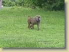 ghana-0026