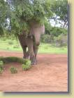 ghana-0031
