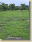 ghana-0033