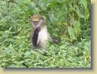ghana-0040