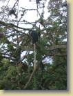 ghana-0041