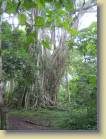 ghana-0045
