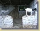 ghana-0049
