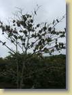 ghana-0069