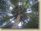 ghana-0087