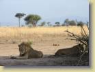 kenia-etc-0015